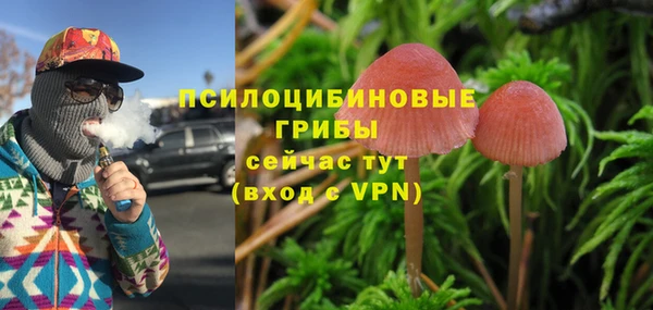 марки nbome Новодвинск